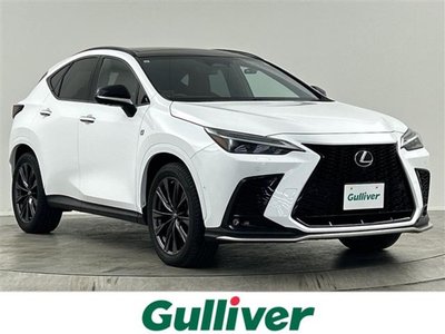 2021 Lexus NX photo 1