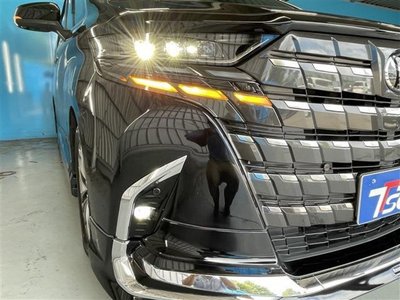2024 Toyota ALPHARD — фото 22