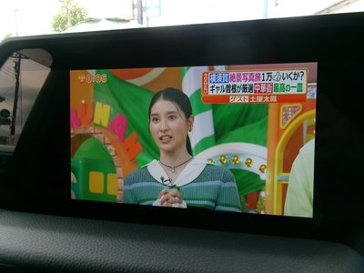 2025 Toyota LAND CRUISER 250 照片 39