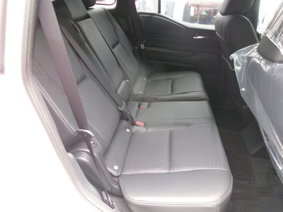 2025 Toyota LAND CRUISER 250 照片 19