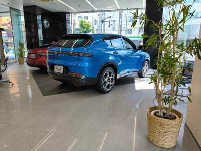 2023 ALFA Romeo STELVIO — миниатюра 60