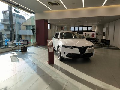 2023 ALFA Romeo STELVIO — миниатюра 61