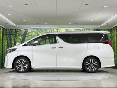 2022 Toyota ALPHARD — фото 25