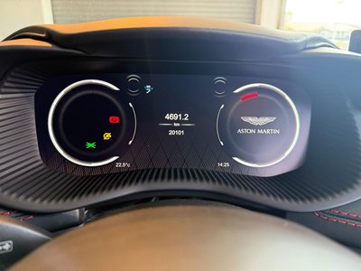 2021 Aston Martin DBX 照片 8
