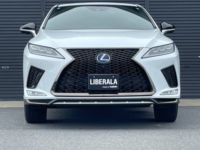 2020 Lexus RX 照片 52