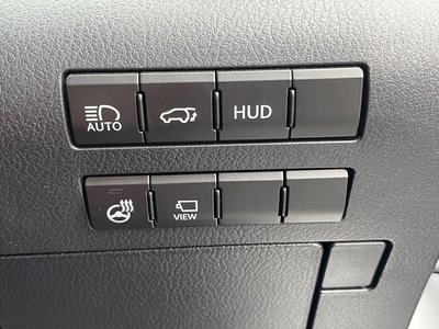 2020 Lexus RX 照片 43