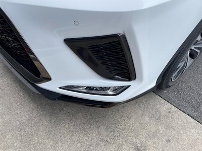 2020 Lexus RX 照片 64