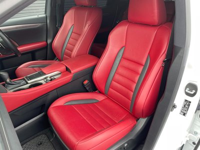 2020 Lexus RX 照片 17