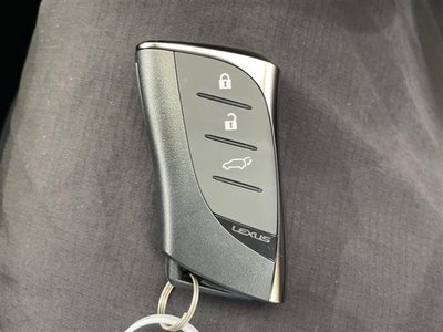 2023 Lexus RX thumbnail 20
