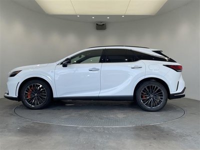 2023 Lexus RX thumbnail 31