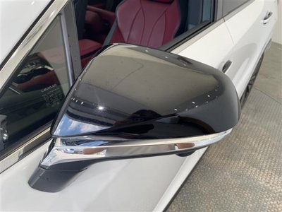 2023 Lexus RX thumbnail 36