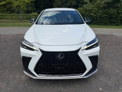 صورة مصغرة 21 لـ 2023 Lexus NX