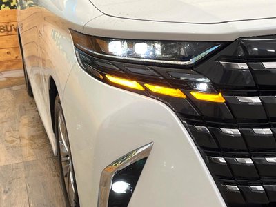 2025 Toyota ALPHARD — фото 13