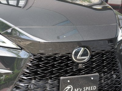 2026 Lexus RX 缩略图 12