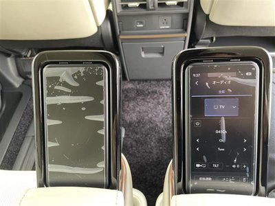 2025 Lexus LM thumbnail 30