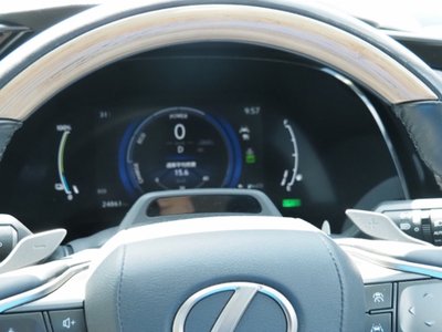 2023 Lexus RX — миниатюра 53