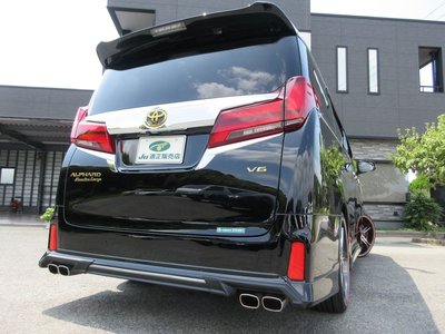 2019 Toyota ALPHARD 照片 18