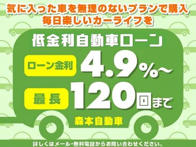 2019 Toyota ALPHARD 照片 26