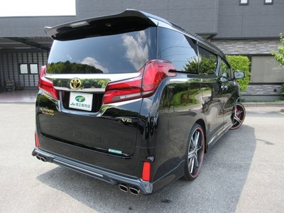 2019 Toyota ALPHARD 照片 20