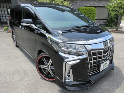 2019 Toyota ALPHARD 照片 1