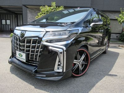 2019 Toyota ALPHARD 照片 15