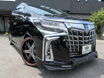 2019 Toyota ALPHARD 照片 14