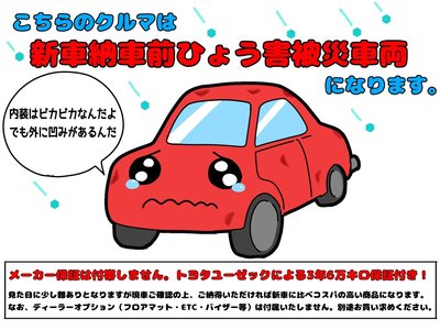 2026 Toyota VELLFIRE photo 13