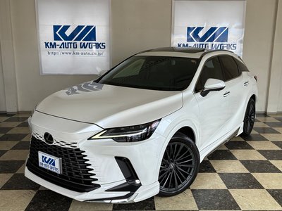 2023 Lexus RX thumbnail 81