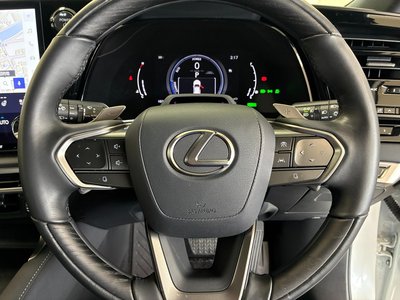 2023 Lexus RX photo 14