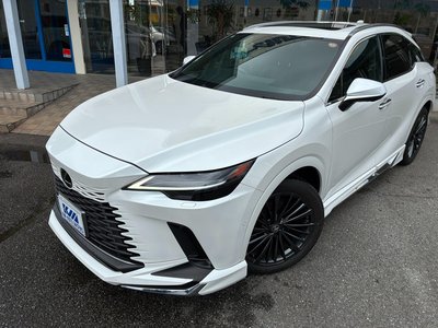 2023 Lexus RX photo 8