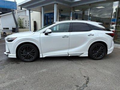 2023 Lexus RX photo 5