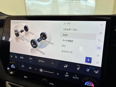2023 Lexus RX thumbnail 67