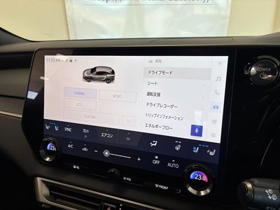 2023 Lexus RX thumbnail 69