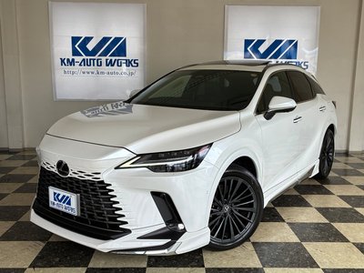 2023 Lexus RX photo 1