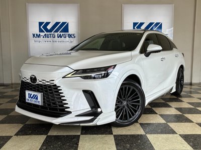 2023 Lexus RX thumbnail 80