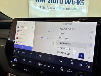 2023 Lexus RX thumbnail 72