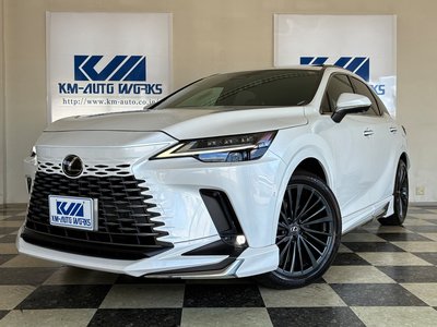 2023 Lexus RX photo 2