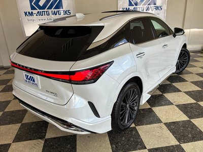 2023 Lexus RX photo 6