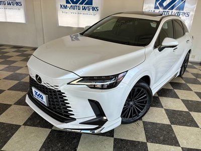 2023 Lexus RX photo 10