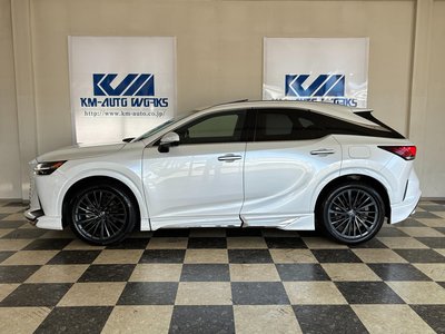 2023 Lexus RX photo 4