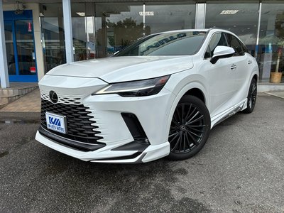 2023 Lexus RX photo 3
