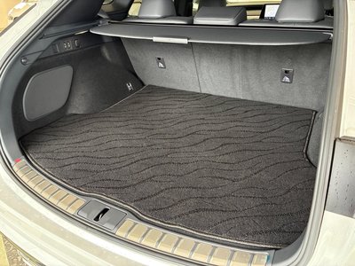 2023 Lexus RX thumbnail 41