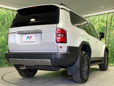 2024 Toyota LAND CRUISER 250 照片 24