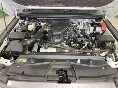 2024 Toyota LAND CRUISER 250 照片 18