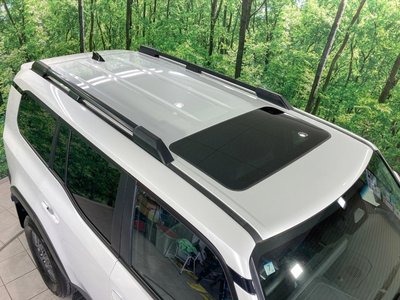 2024 Toyota LAND CRUISER 250 照片 26