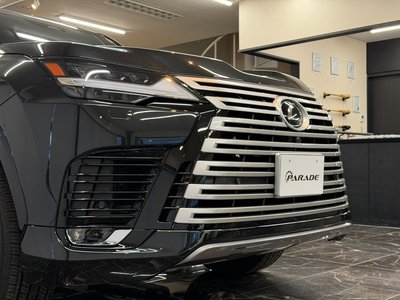 2025 Lexus LX photo 8