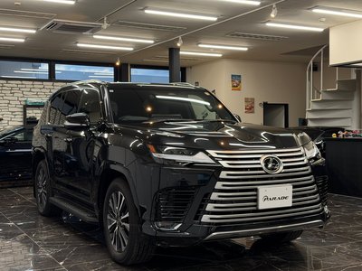 2025 Lexus LX photo 7