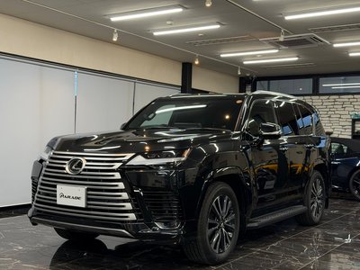 2025 Lexus LX photo 6