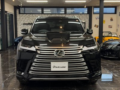2025 Lexus LX photo 5
