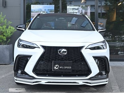 2026 Lexus NX photo 10